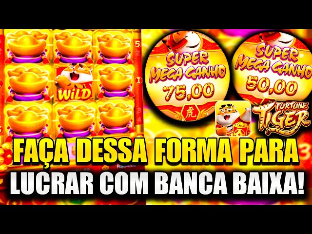 bingoemcasa com br Cartaz